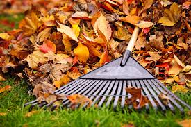 fall clean up